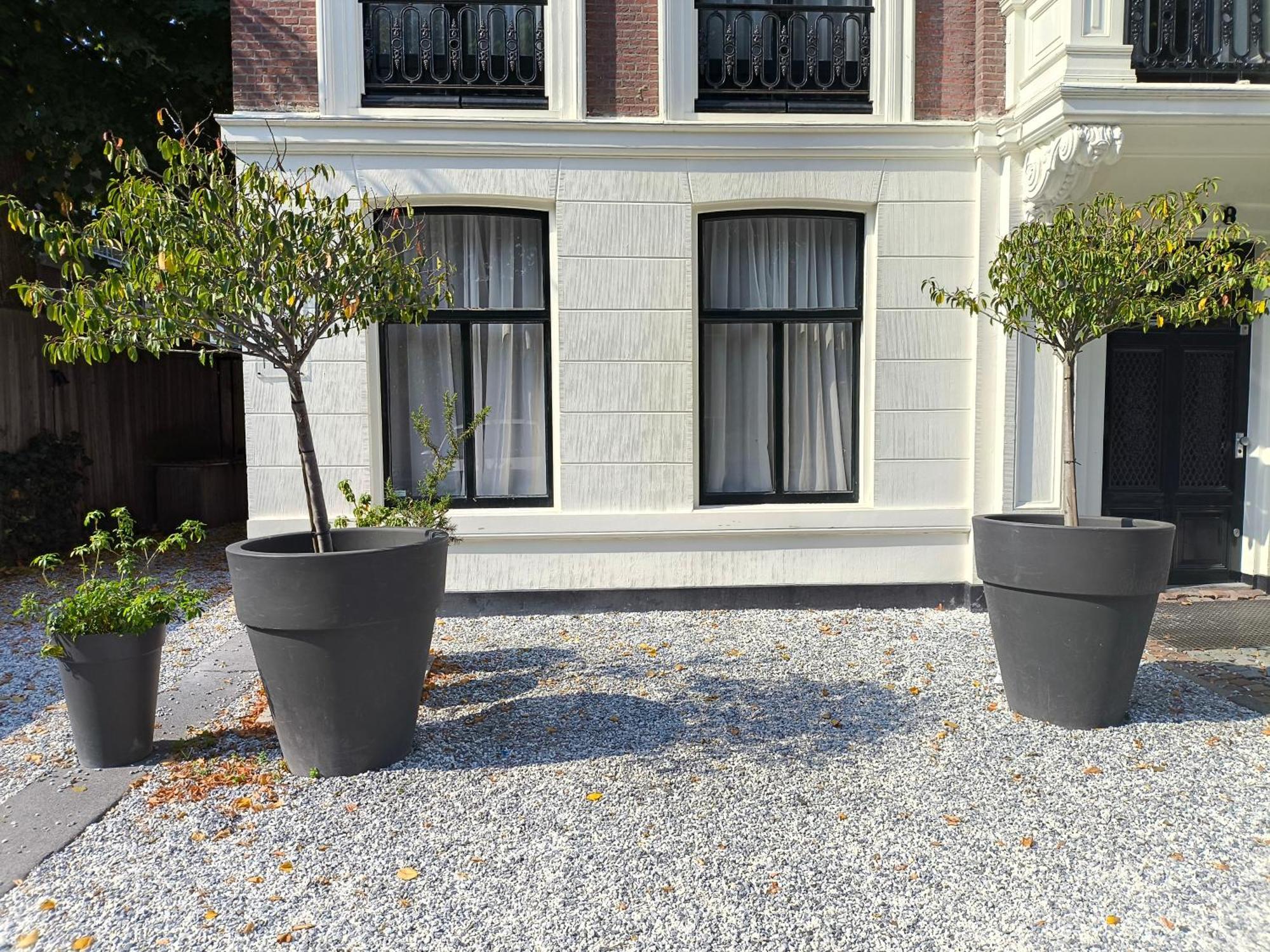 Blue Wave - Free Parking Accommodatie bij particulieren Den Haag